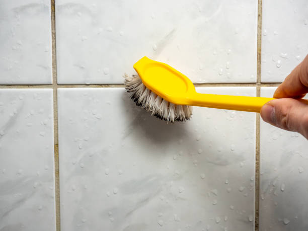 Best Mold Damage Repair  in San Miguel, CA