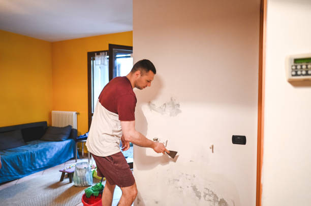 Mold Removal Process in San Miguel, CA