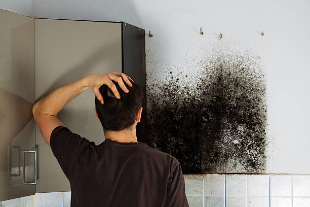 Best Mold Removal Process  in San Miguel, CA